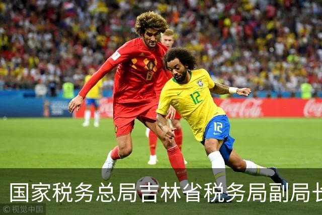 国家税务总局吉林省税务局副局长于洋被查